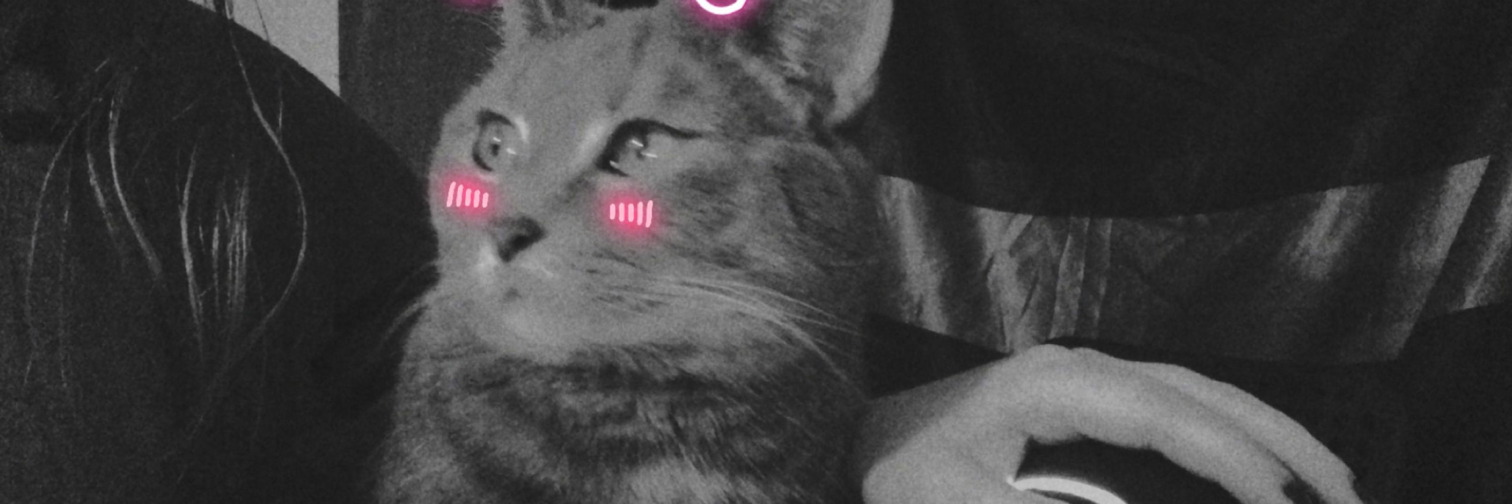 Kit