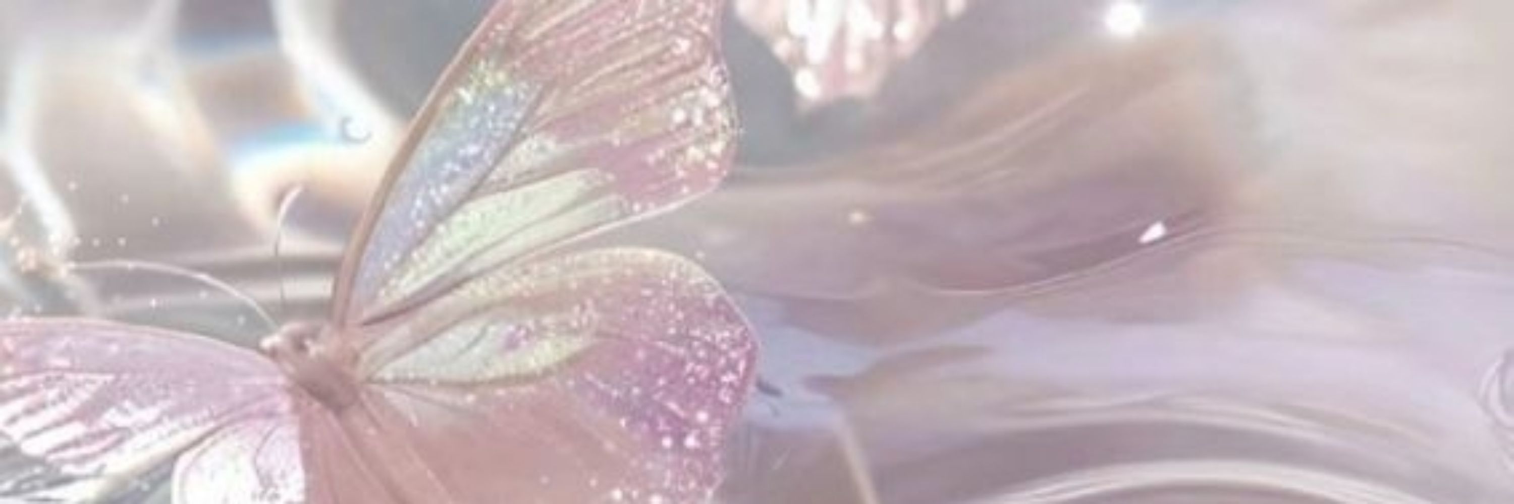 𝑶𝒏𝒍𝒚 𝑨𝒏𝒆𝒍𝒊𝒛✨