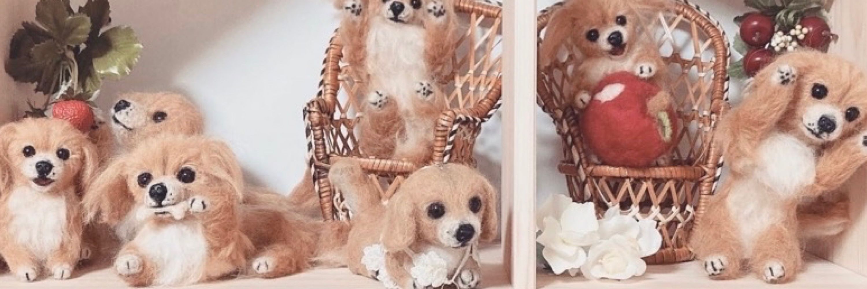 リラ犬(犬りら)