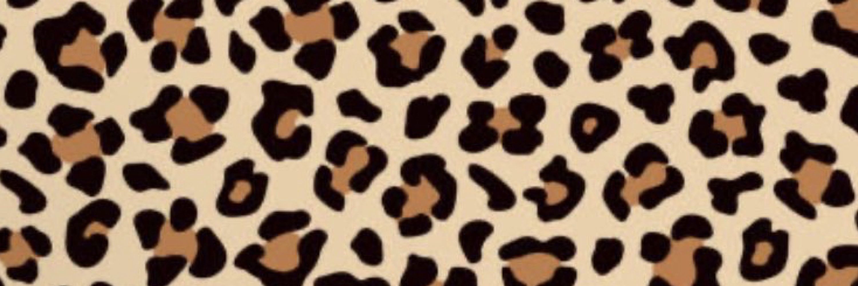 🐈‍⬛…