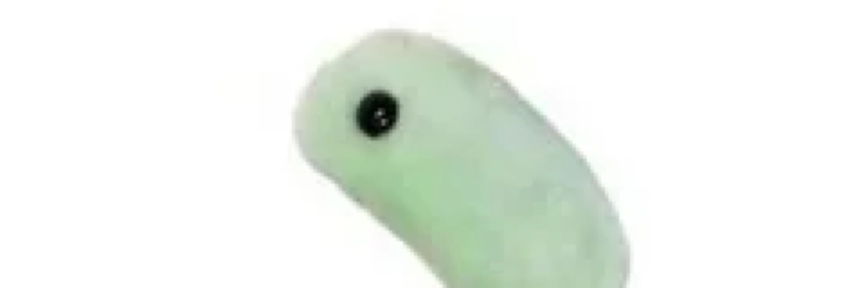 Silantro