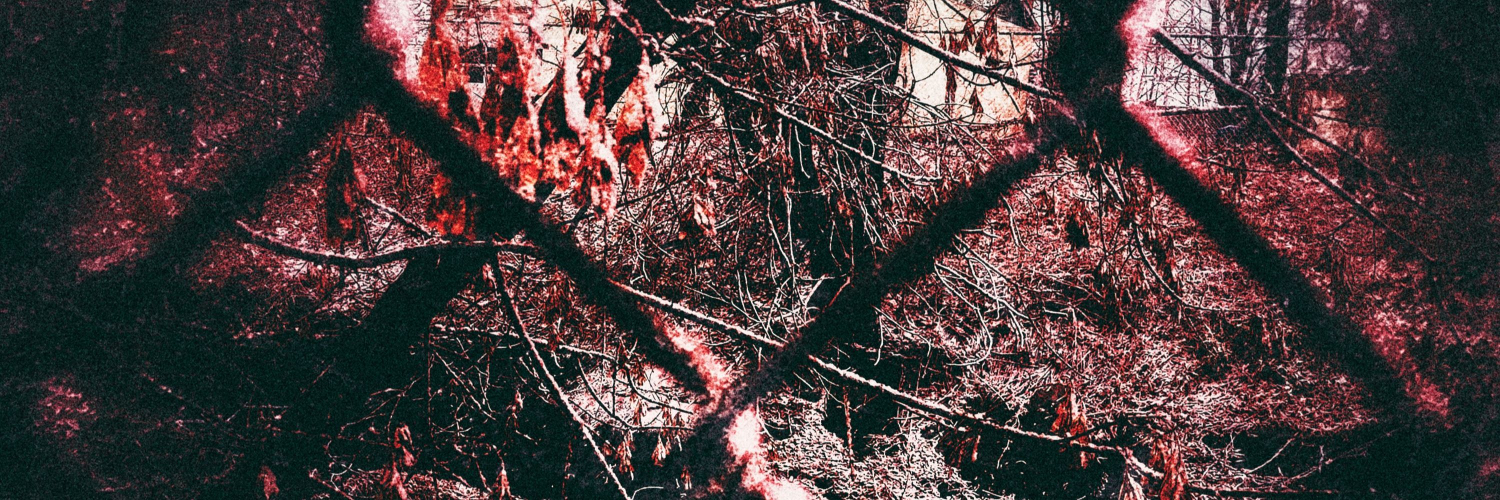 ૮´˶• ᴥ •˶`ა (Acer)