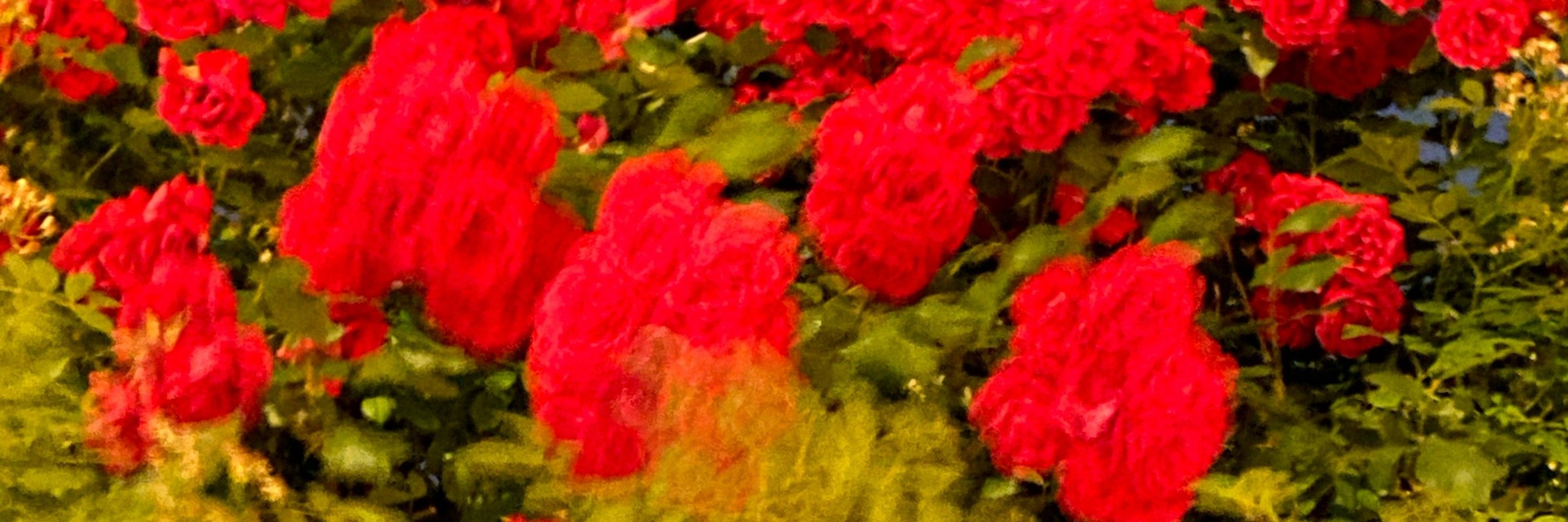 C.
