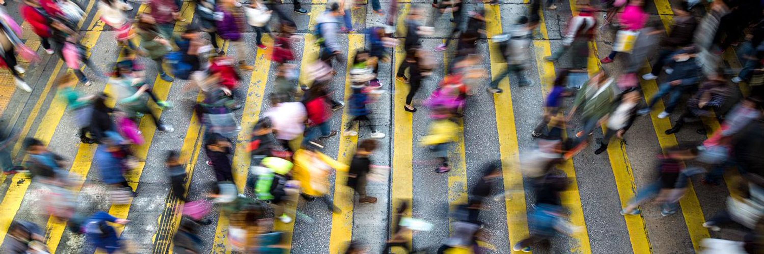 Vision Zero Network
