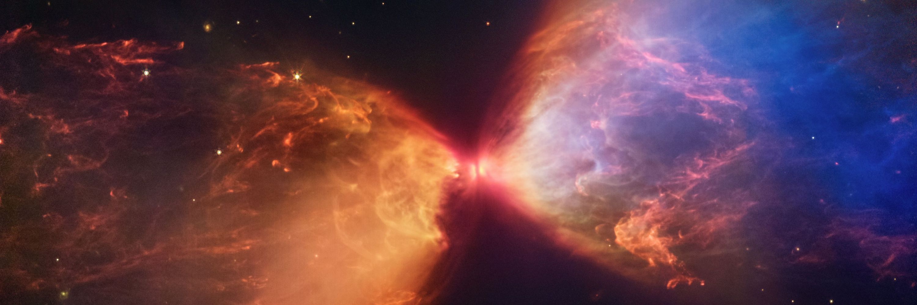Cygnus