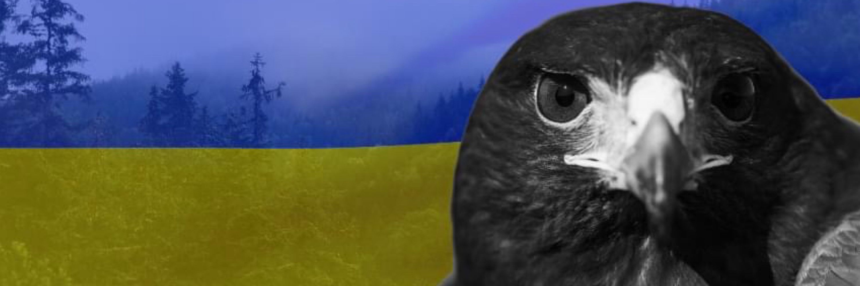 🇺🇦 teteva 