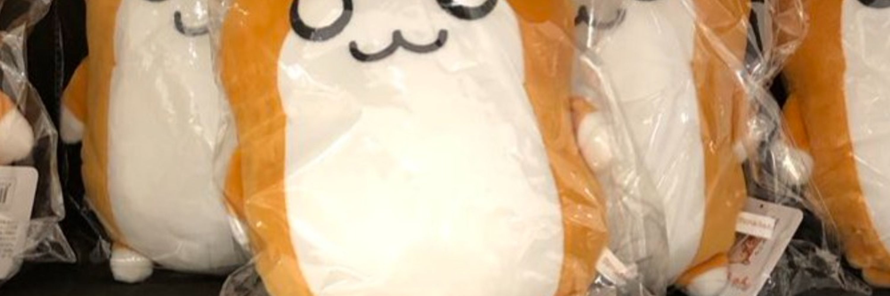 しきなみ