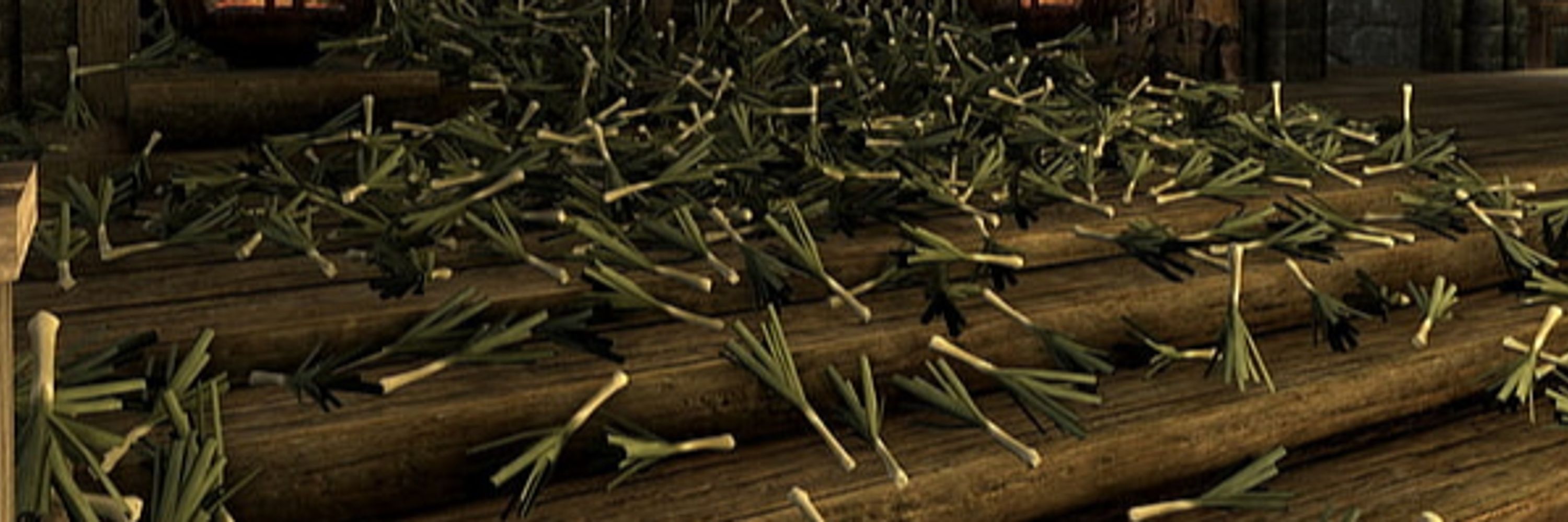 Video Game Leeks 🌱