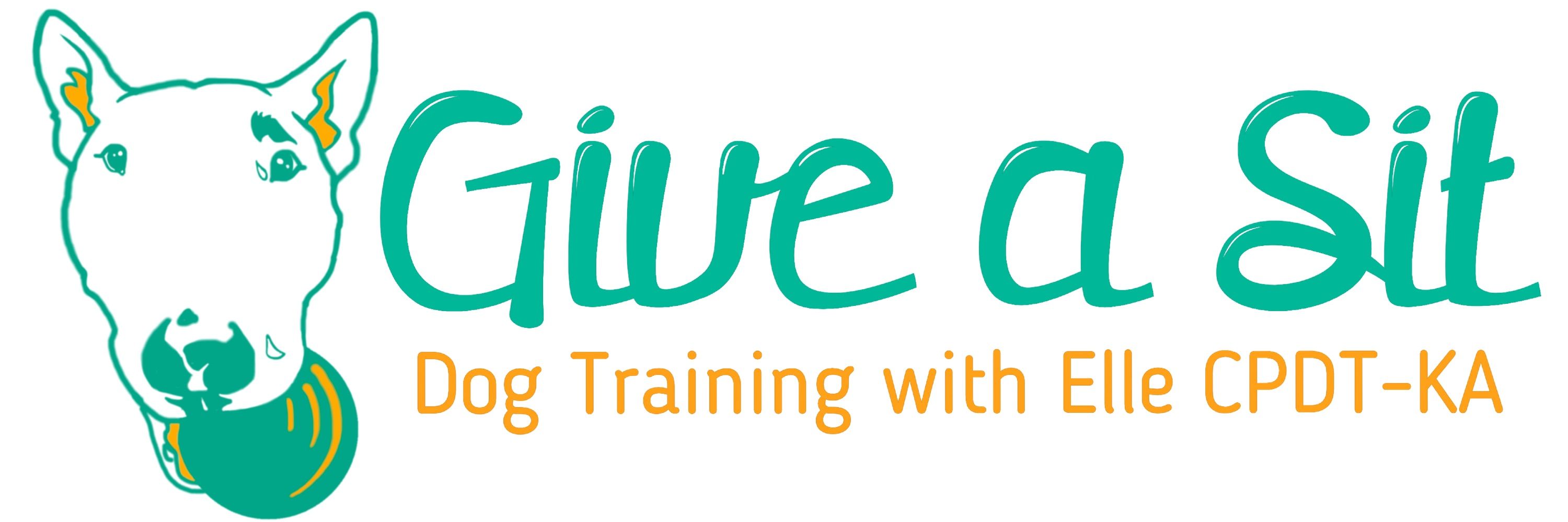 Give a Sit Dog Training
