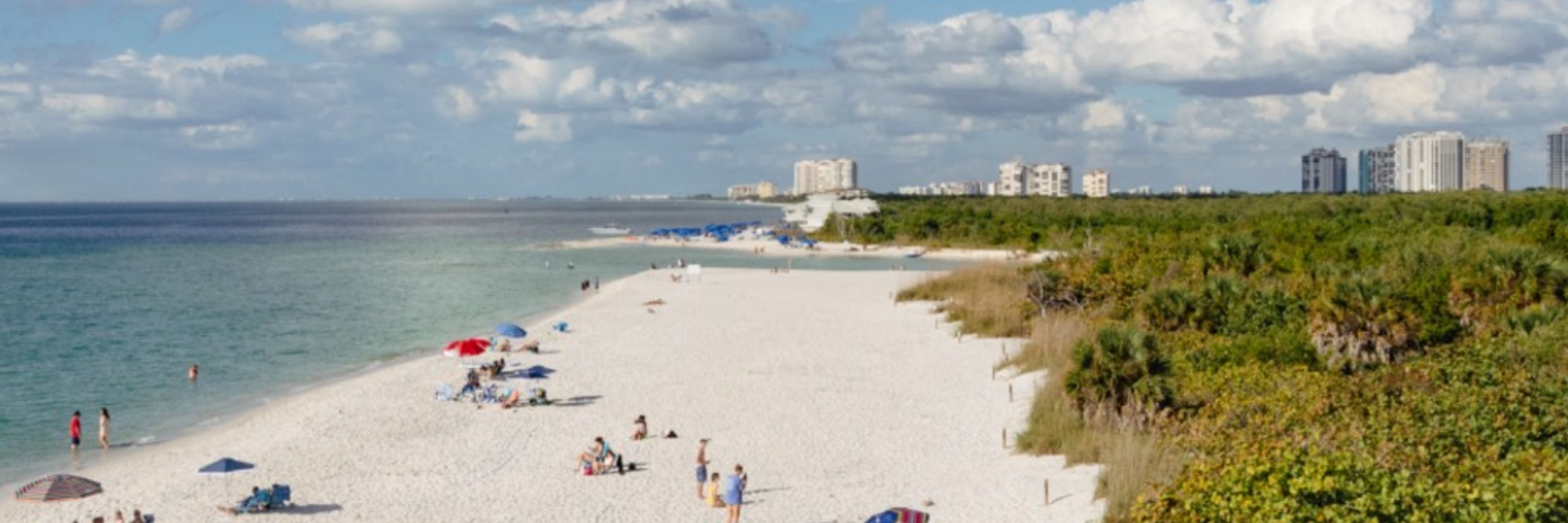 Collier County Democratic Environmental Caucus of FL
