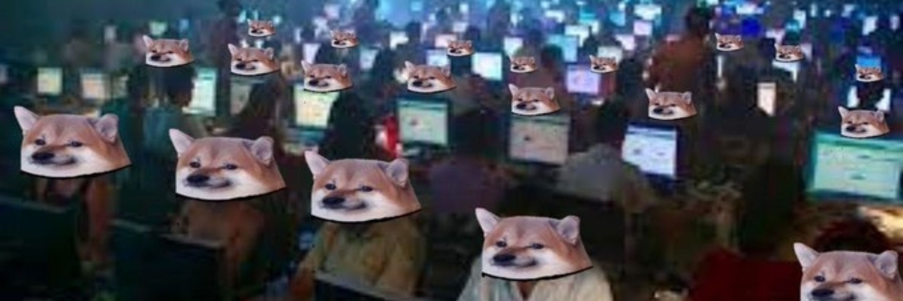 OP_N4FO