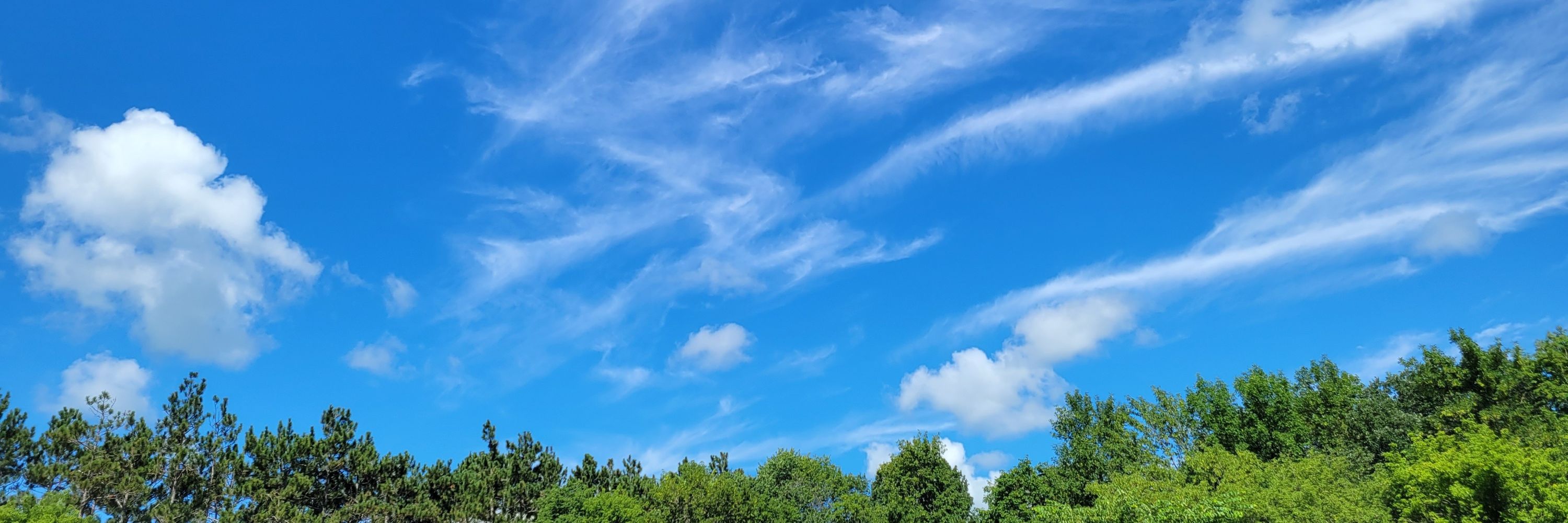 Schultz Weather, LLC