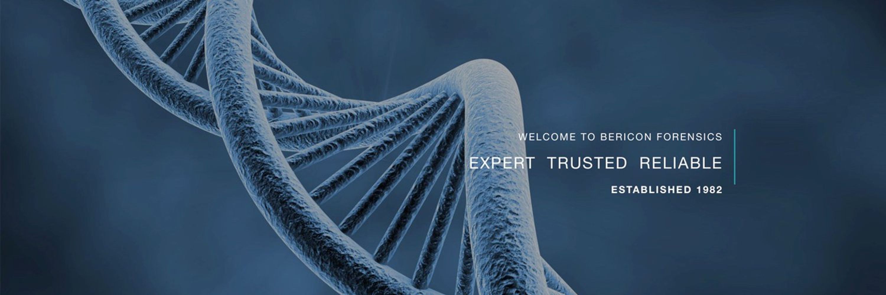 Bericon Forensics
