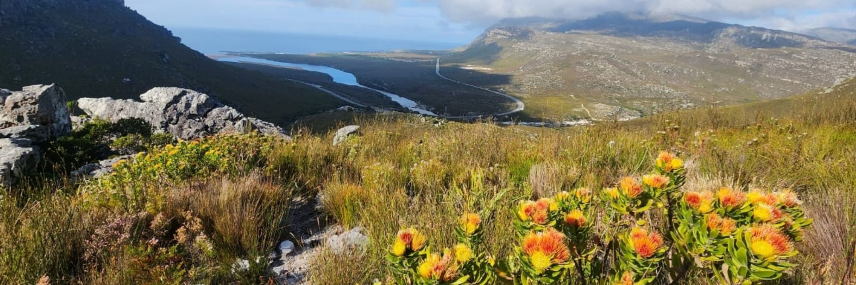 Amoré 🇿🇦