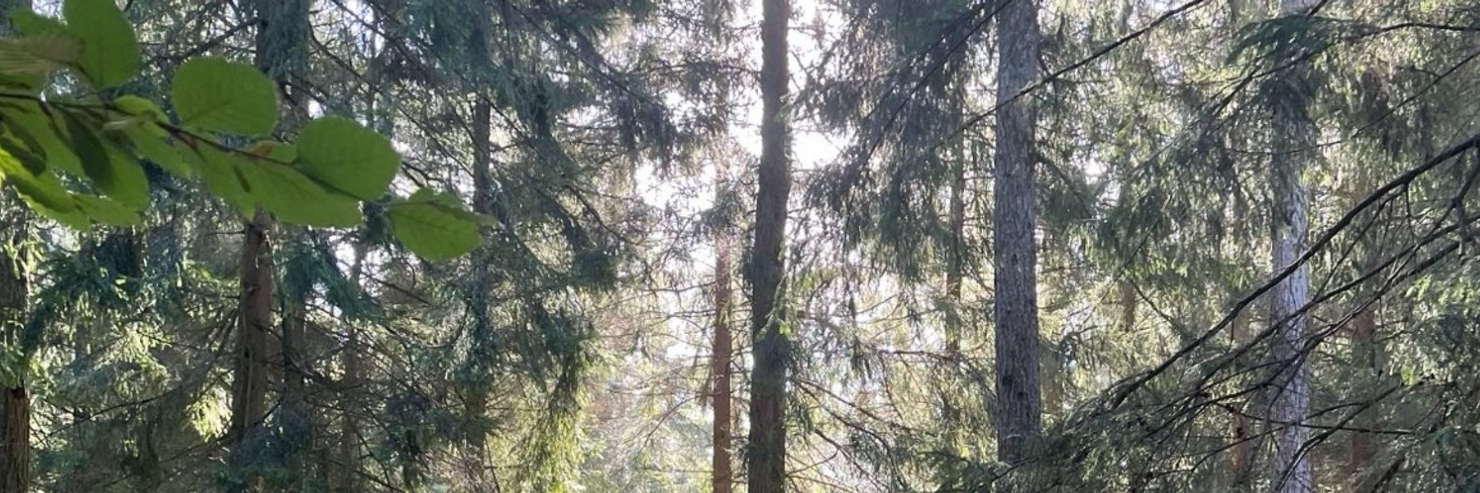 Jacht en faunabeheer