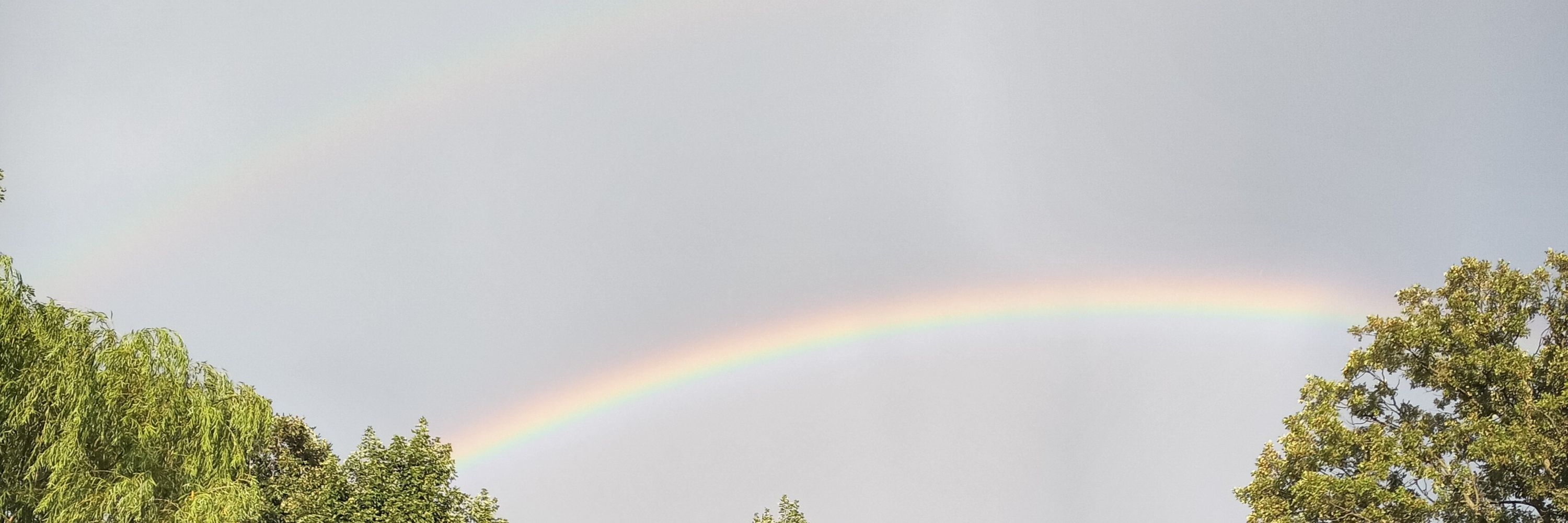 JW