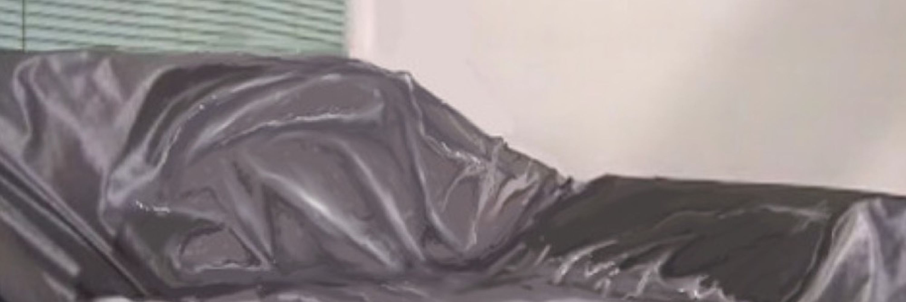 ファンシー水無月