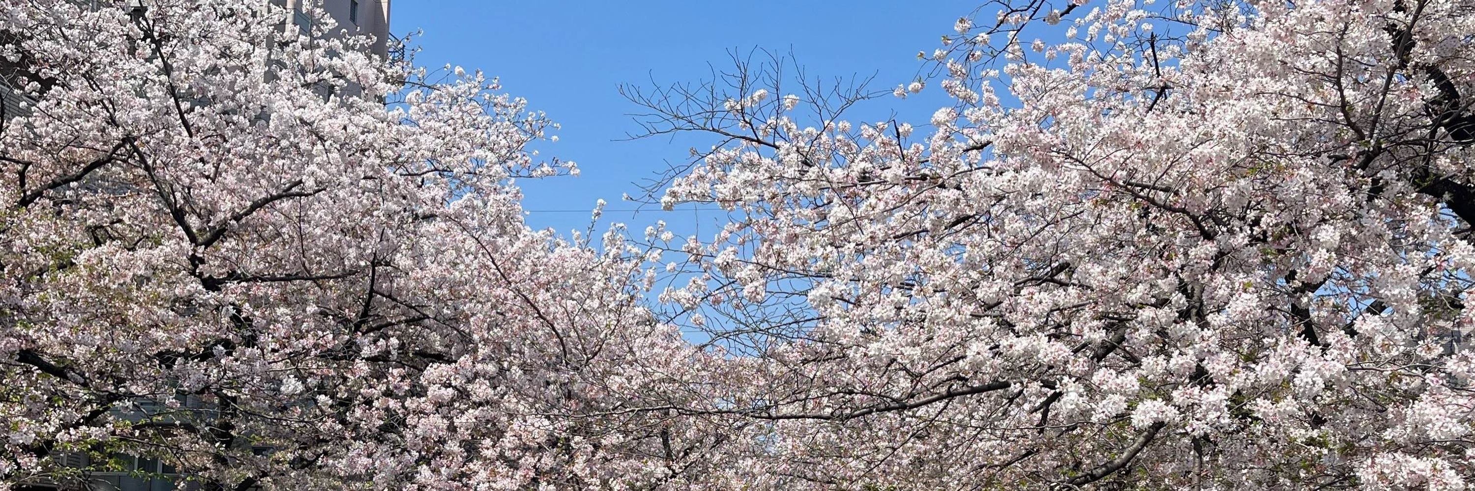 空の部屋