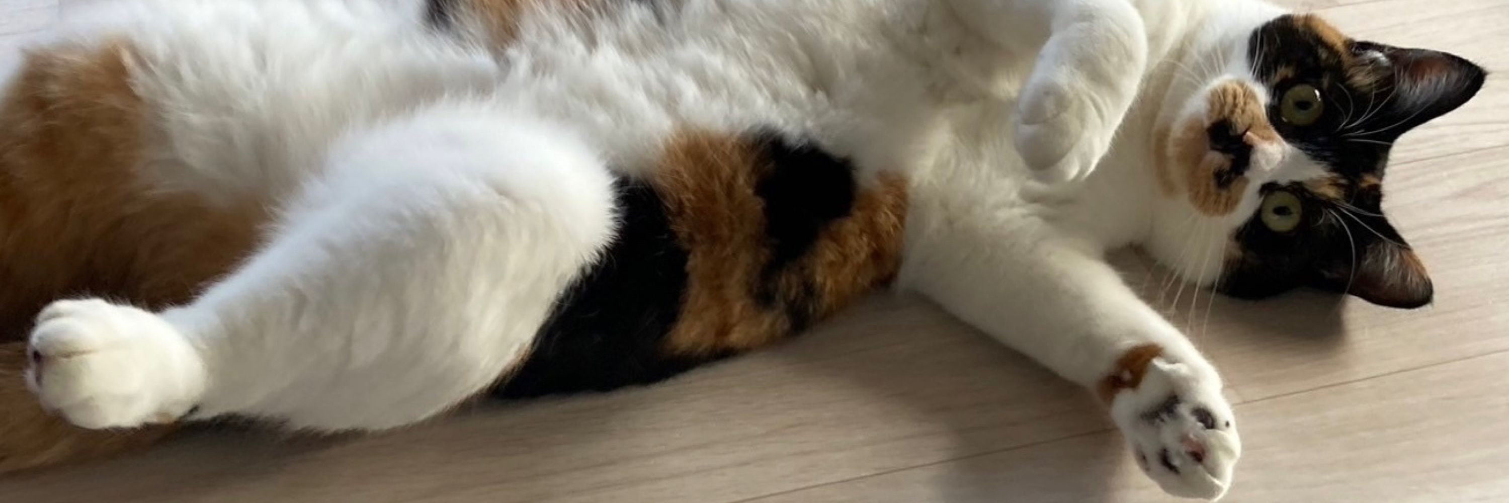 りん音