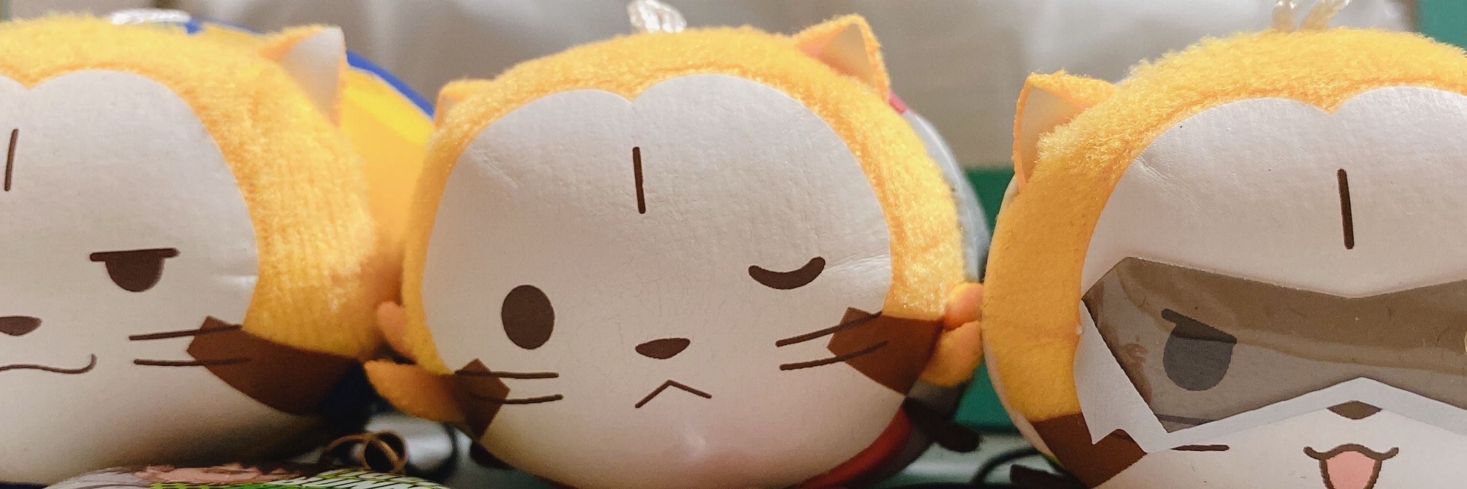 🐅