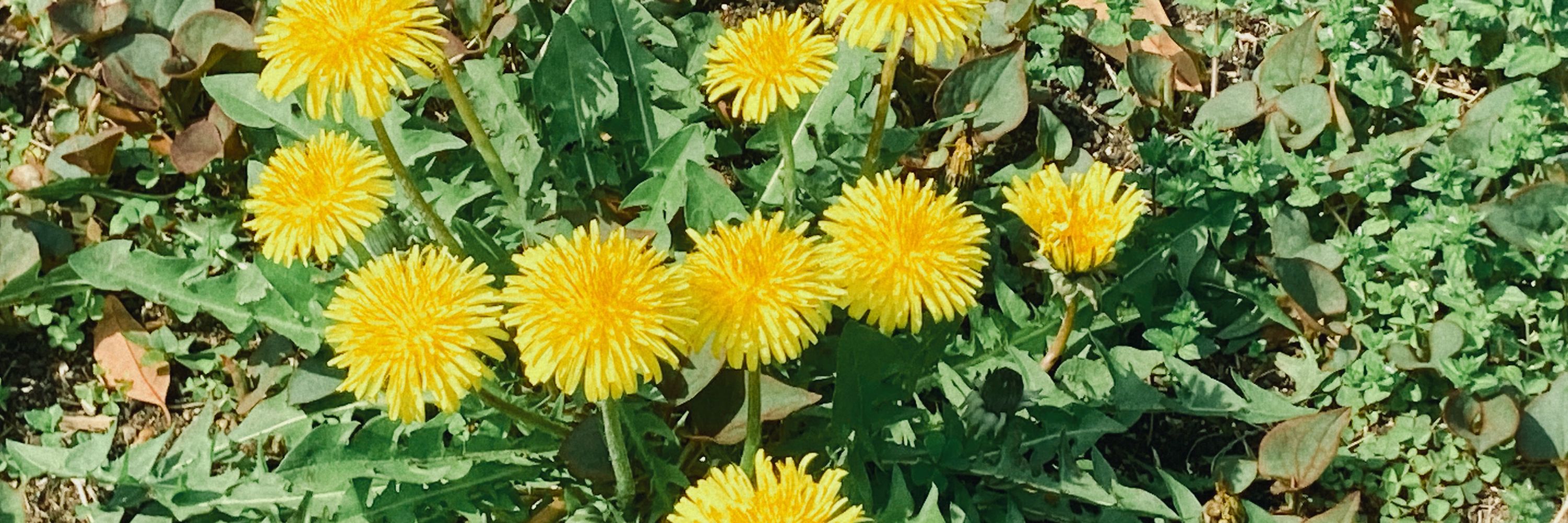 む。