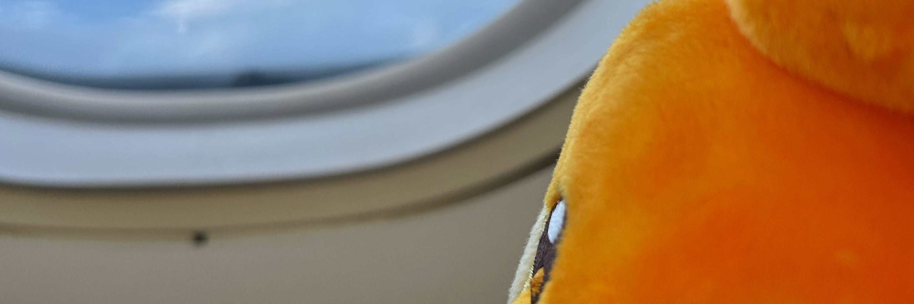 あゆもこ