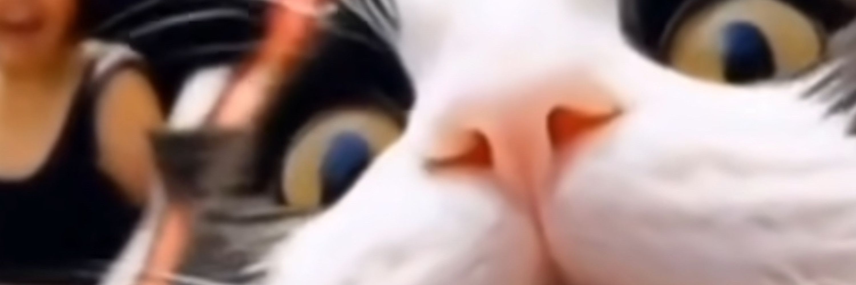 SkyNite 