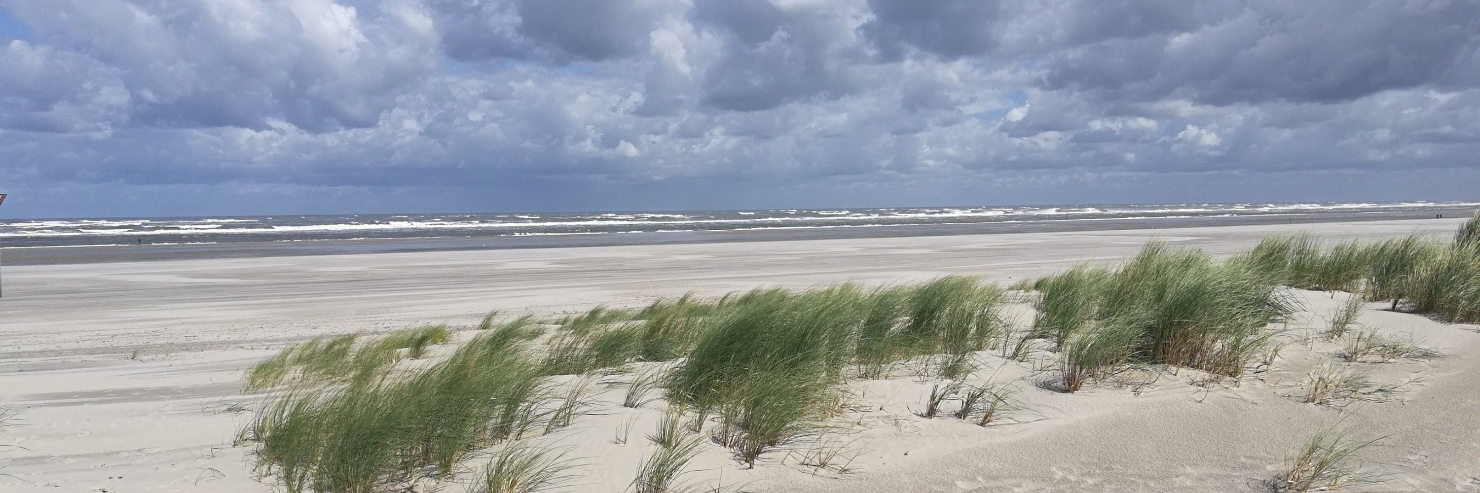 Nordlaenderin