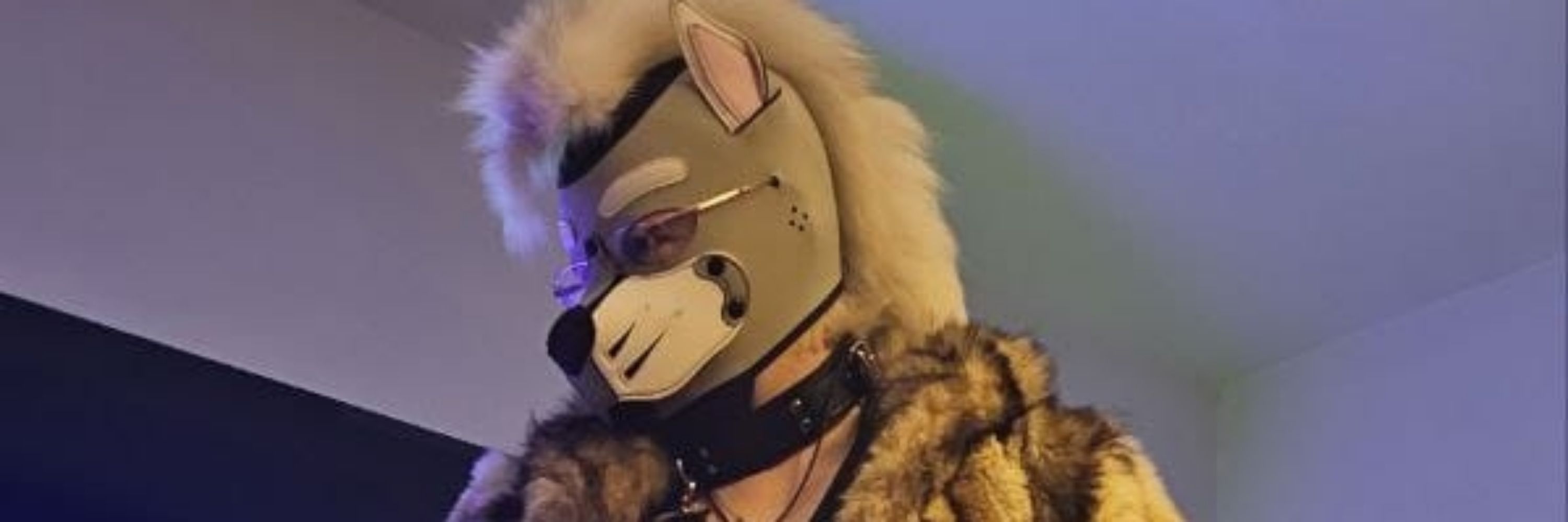 Puppy_ceres