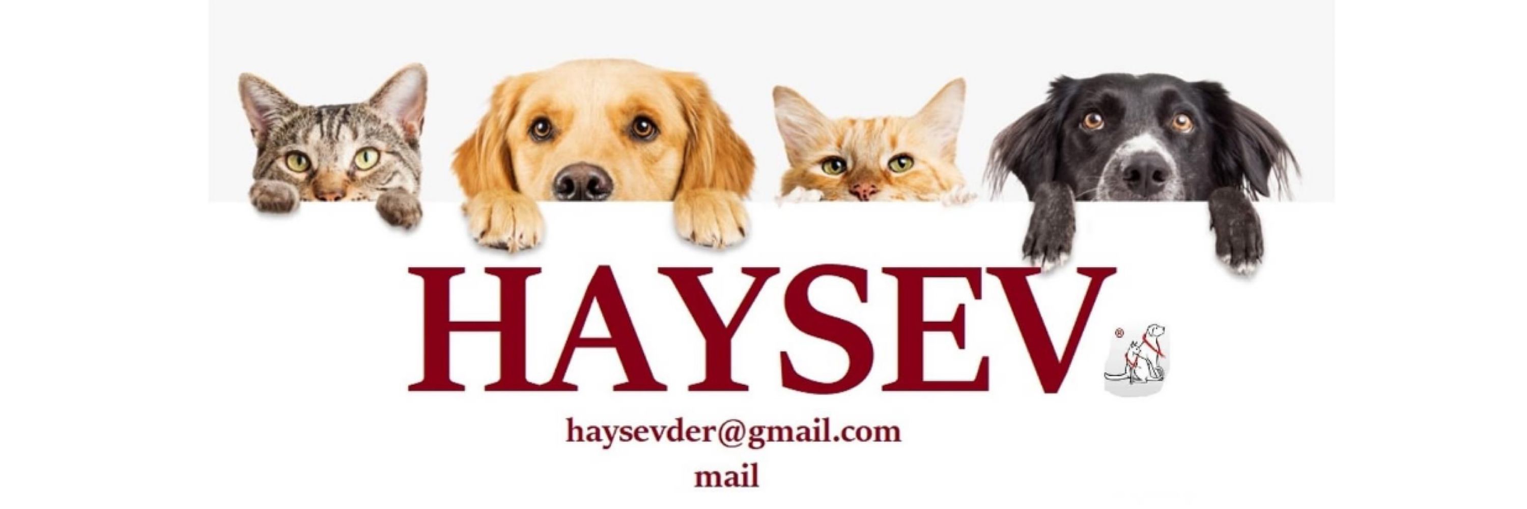 HaySev