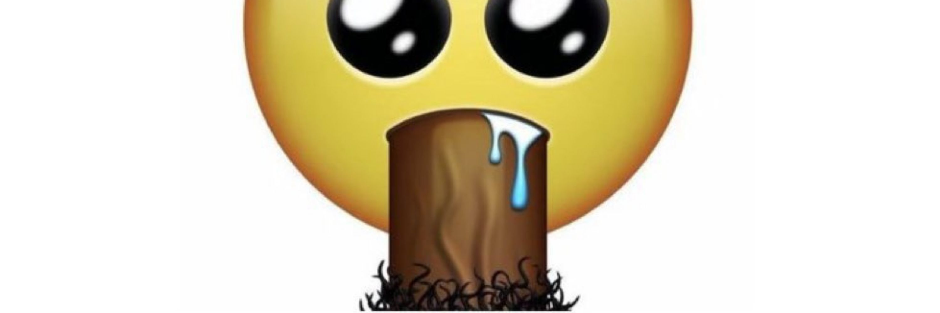 Luipee3