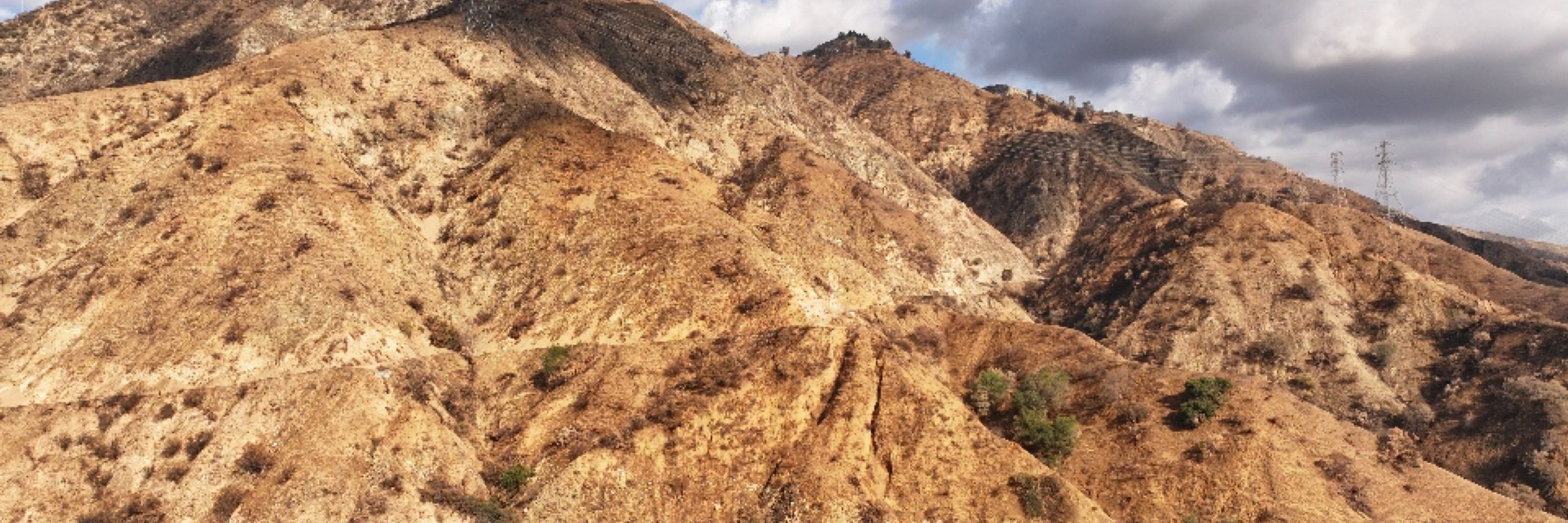 Tongva Taraxat