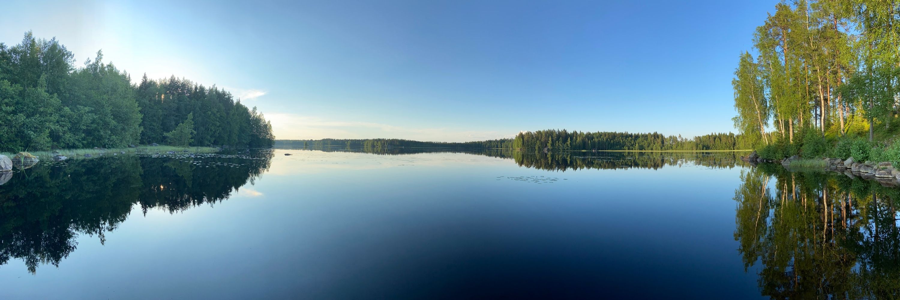 Oskari Saari