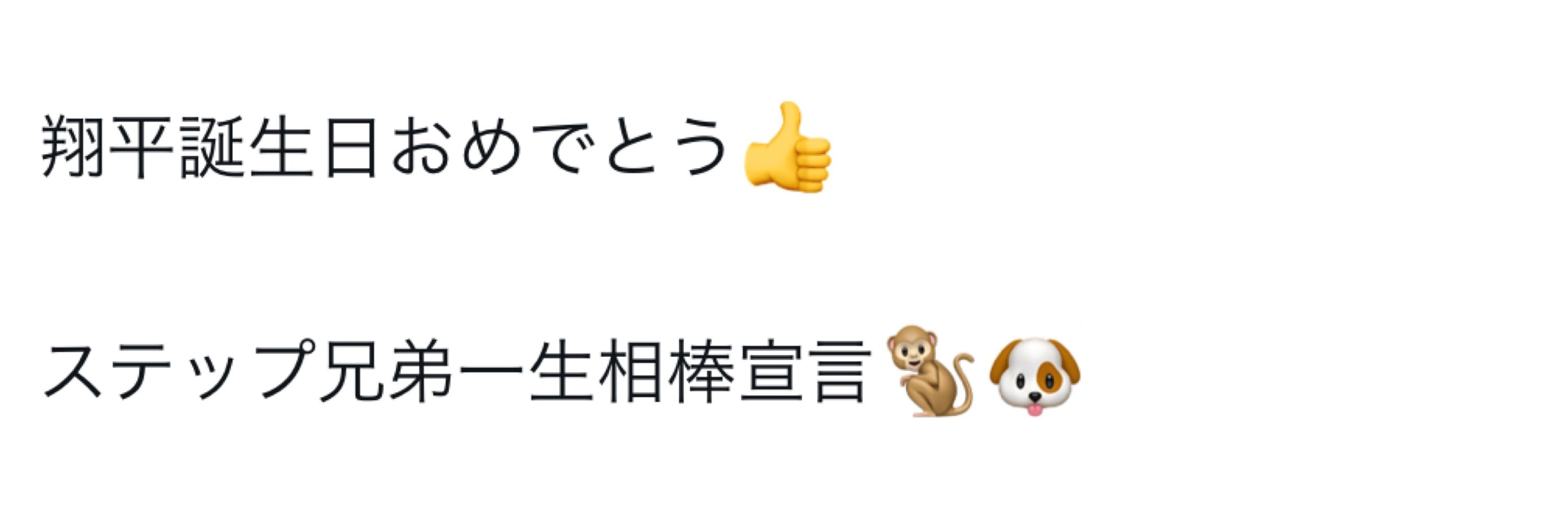 蓄光