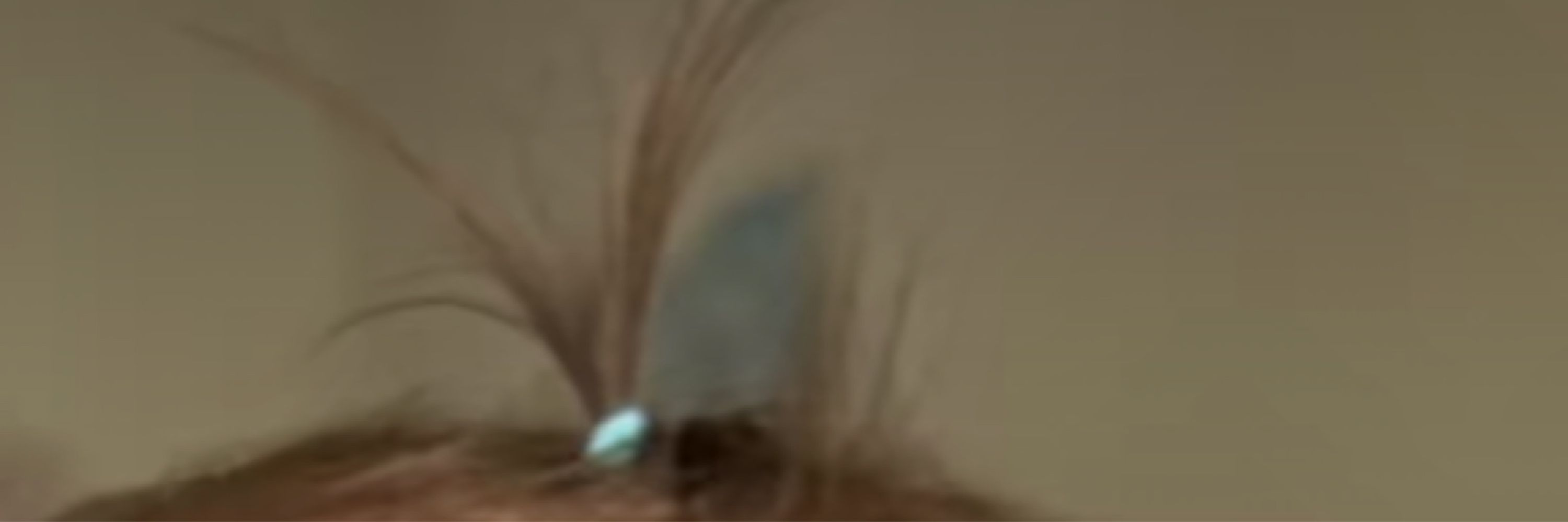 Tangela