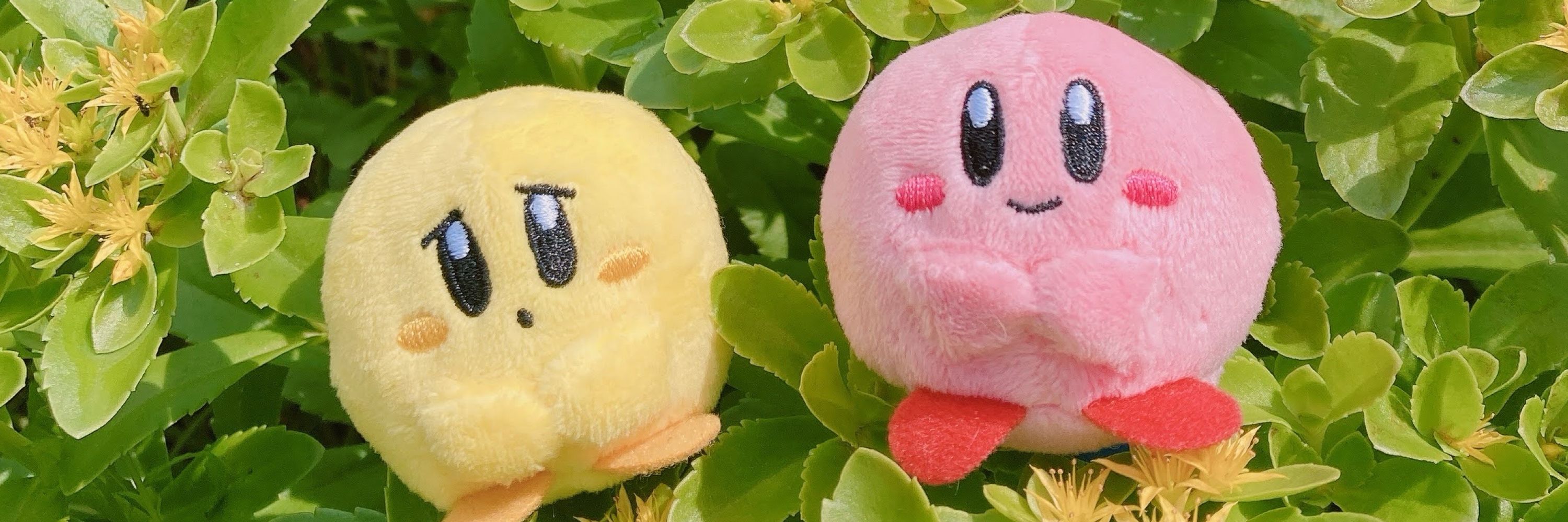 もちろう