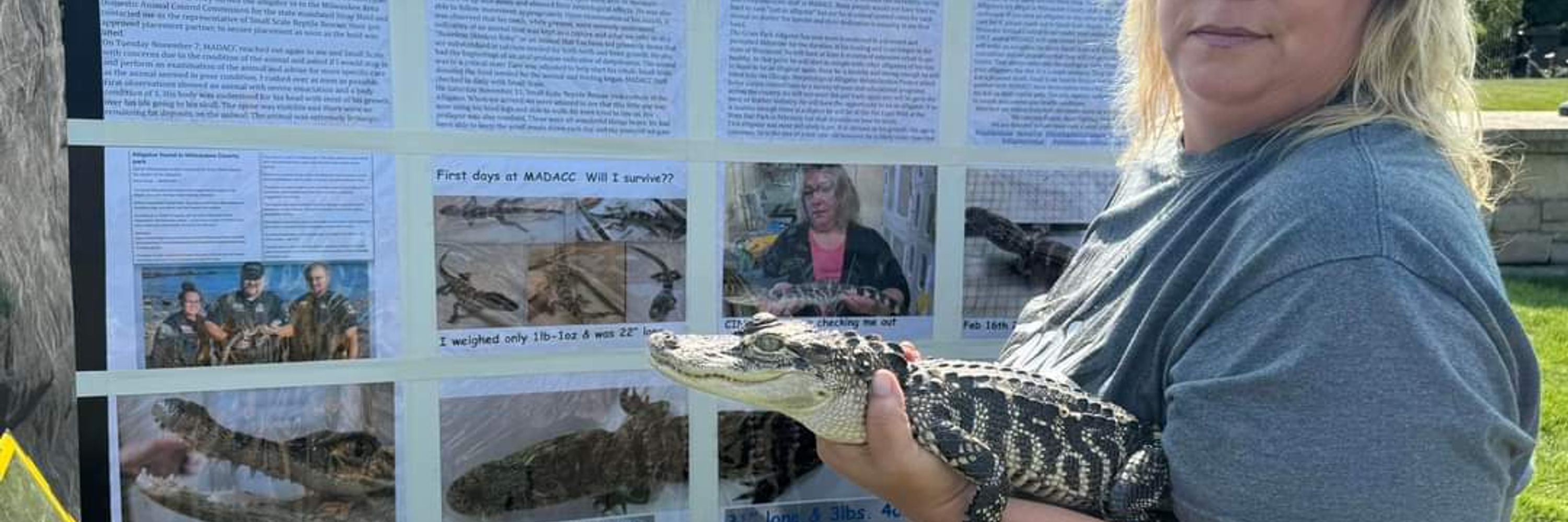 Cindy Steinle - The Blonde Gator