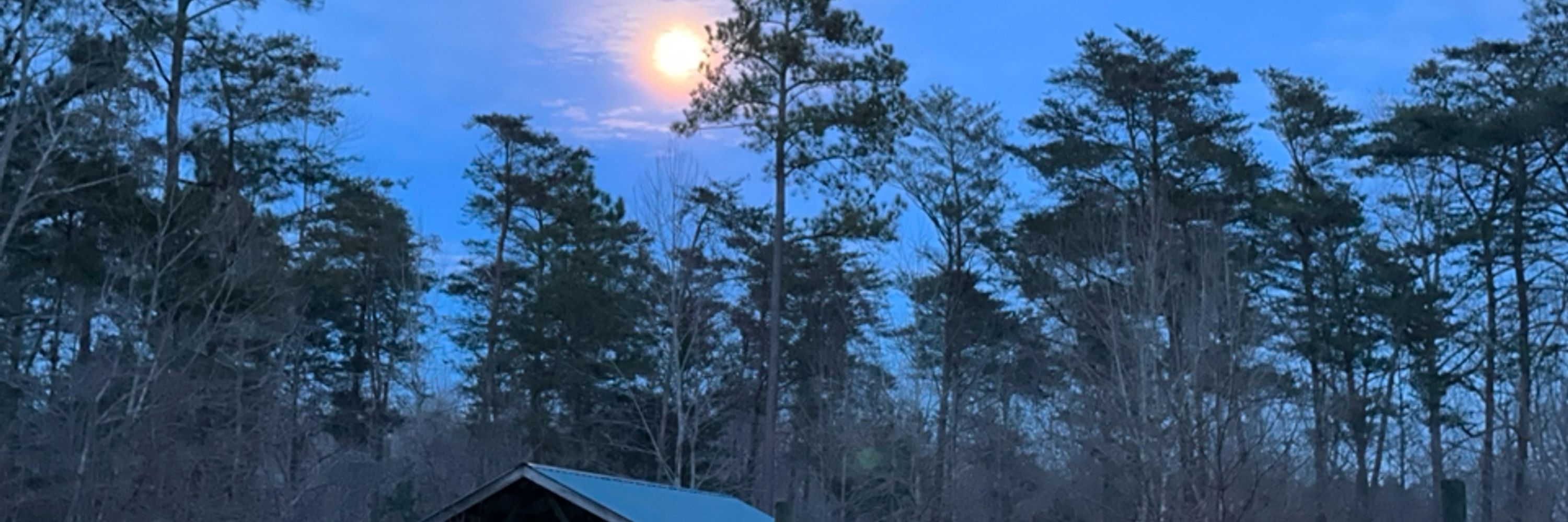 Moonshadow Pines Alpaca Farm