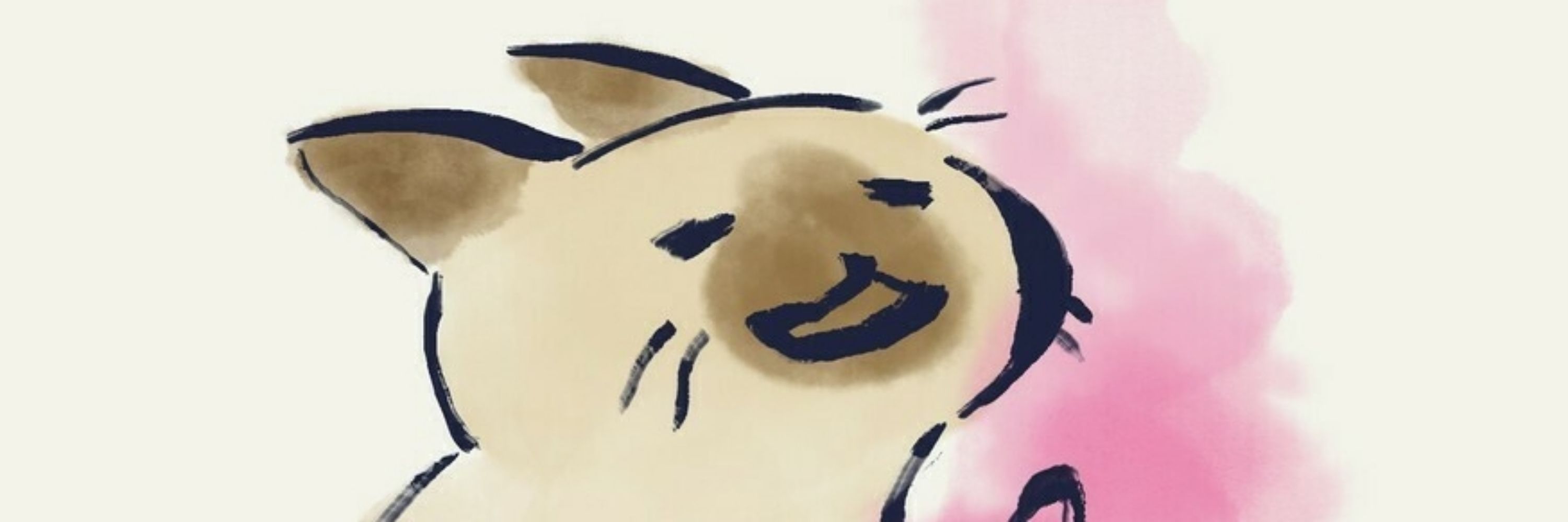 ひこたん