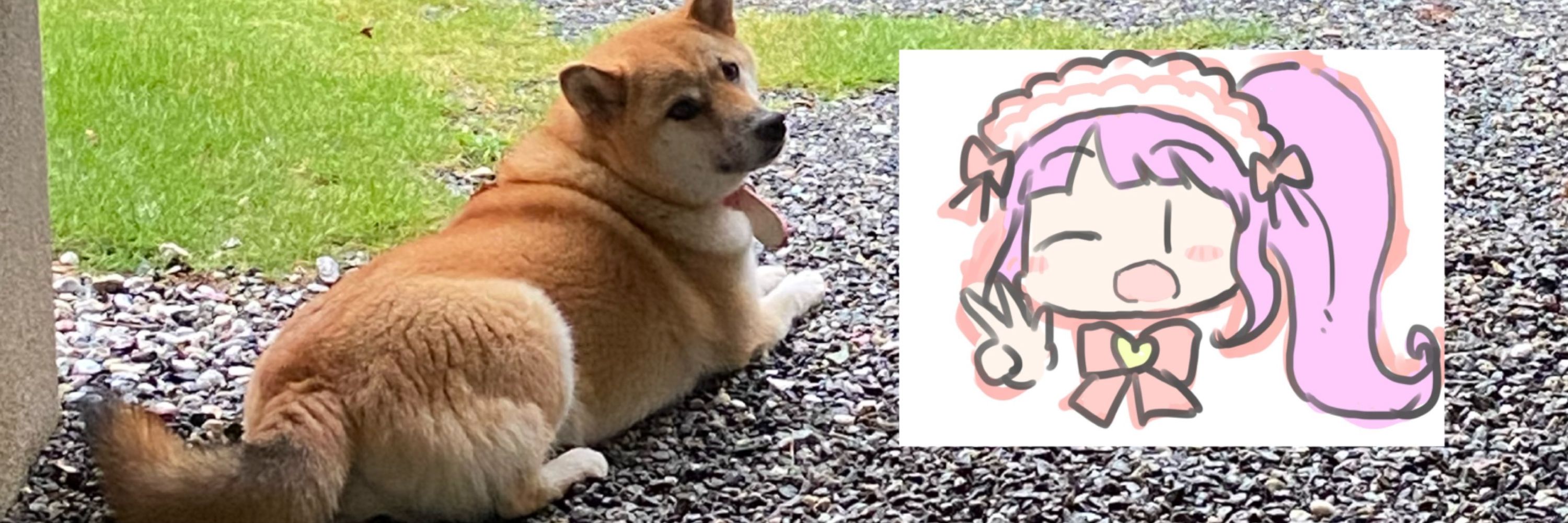 さくさん