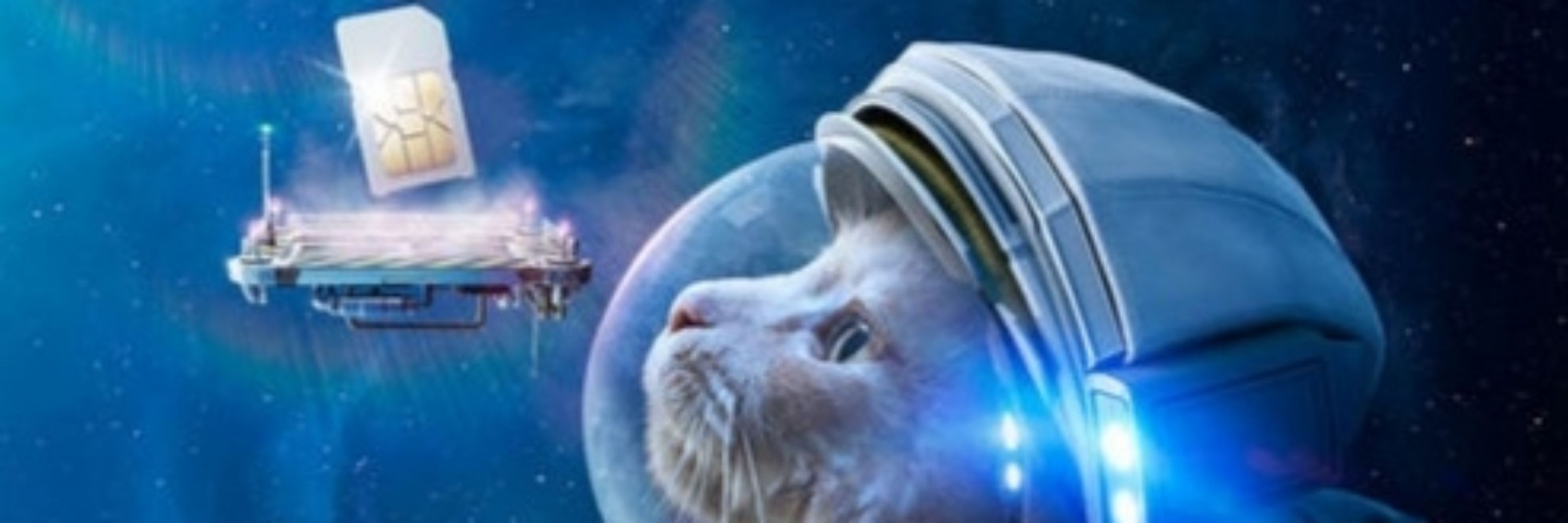 Space__cat