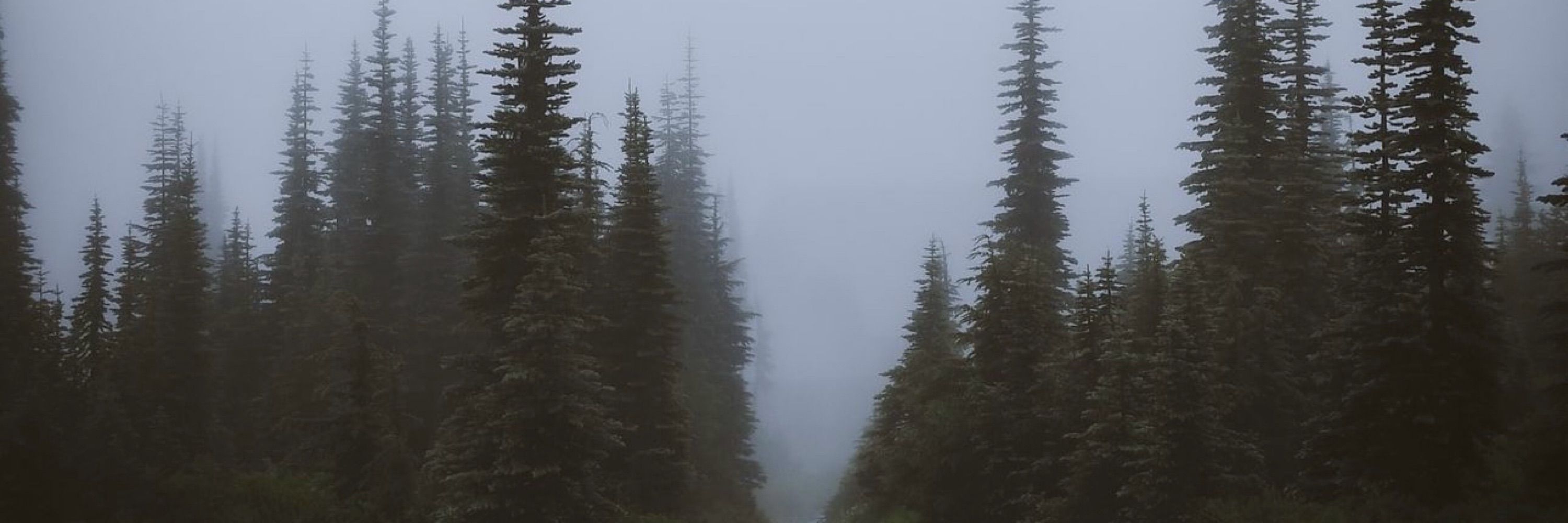 e r i n
