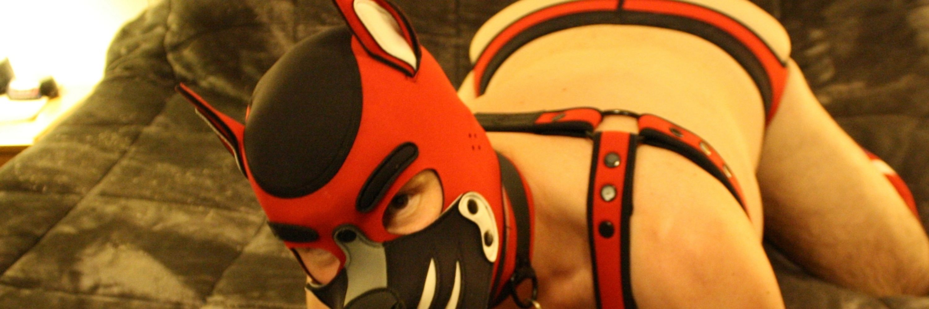 PupFFury