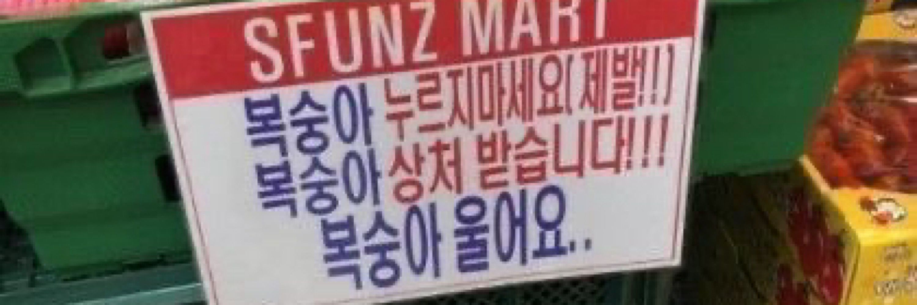 SSUN