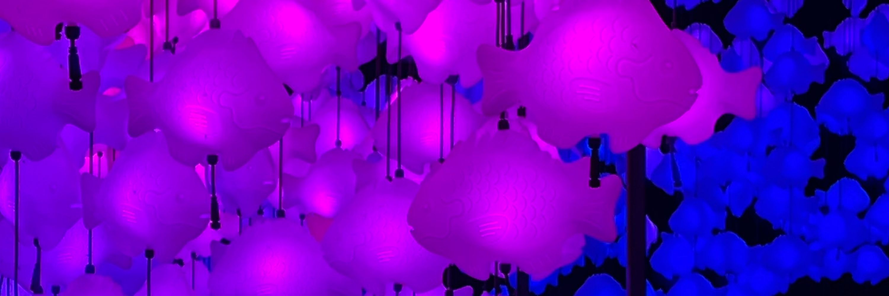 periwinkle