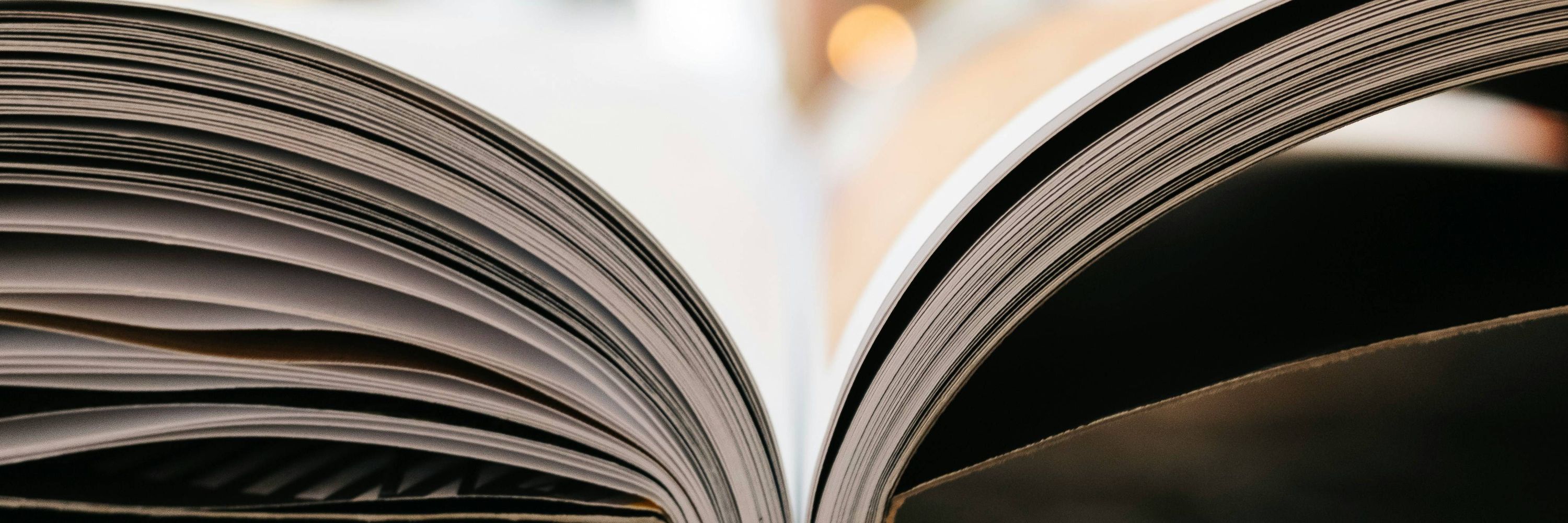 National Association of Writers in Education