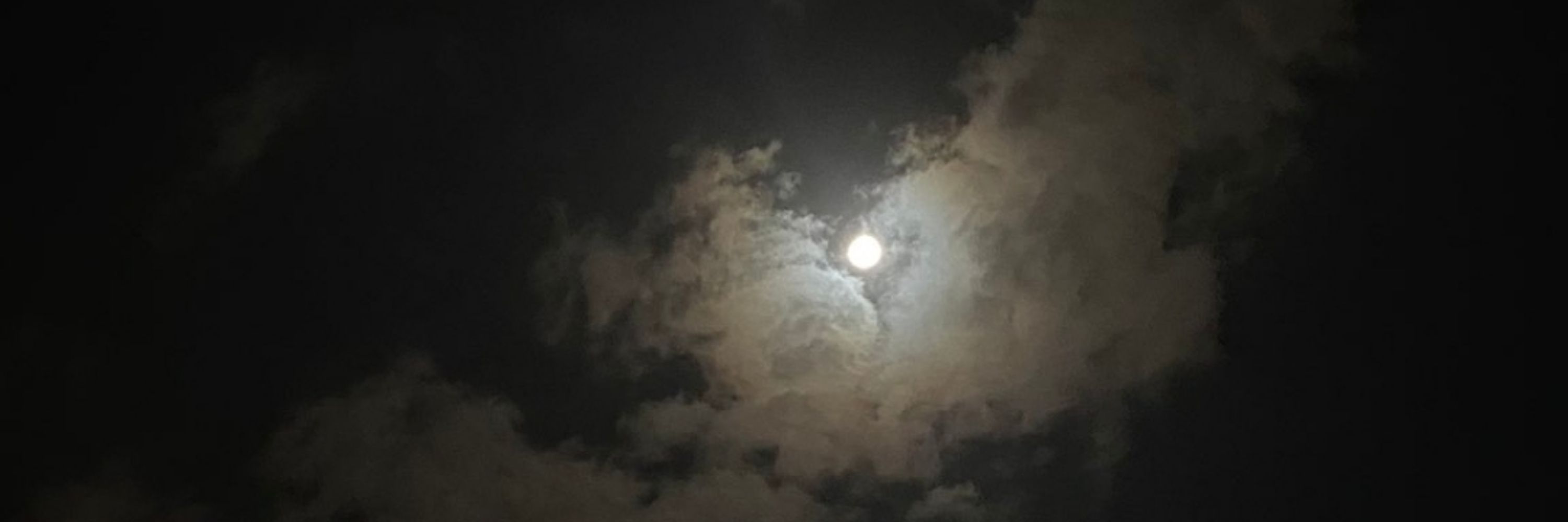 غزة المُقدسة