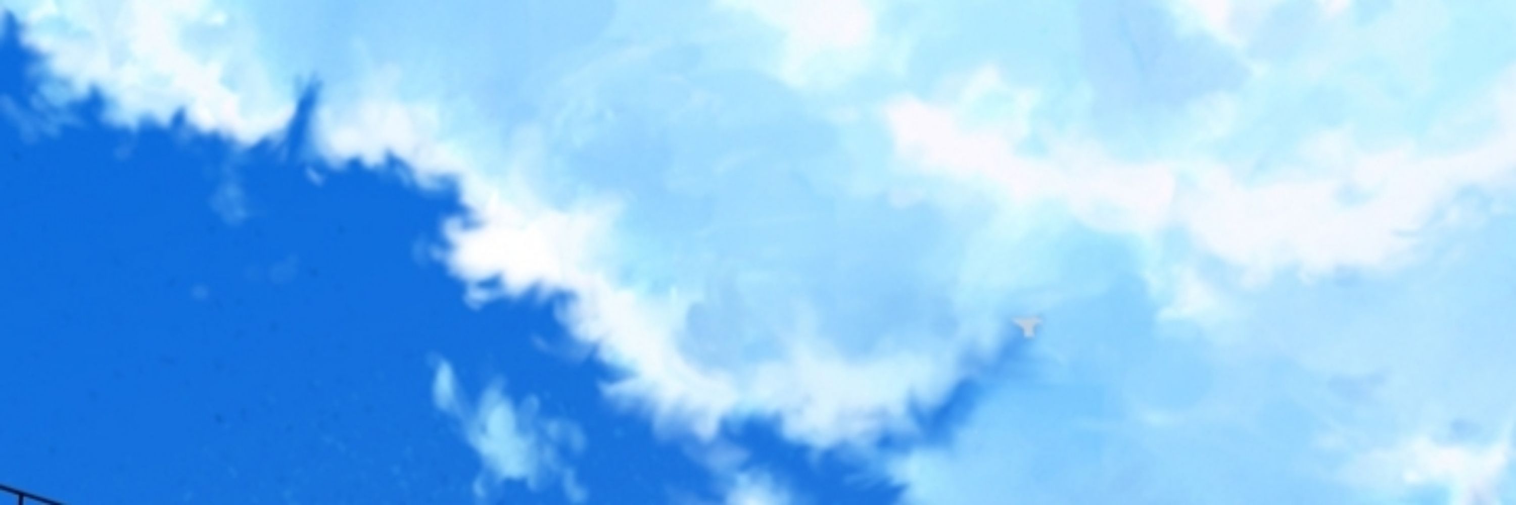 名前考え中