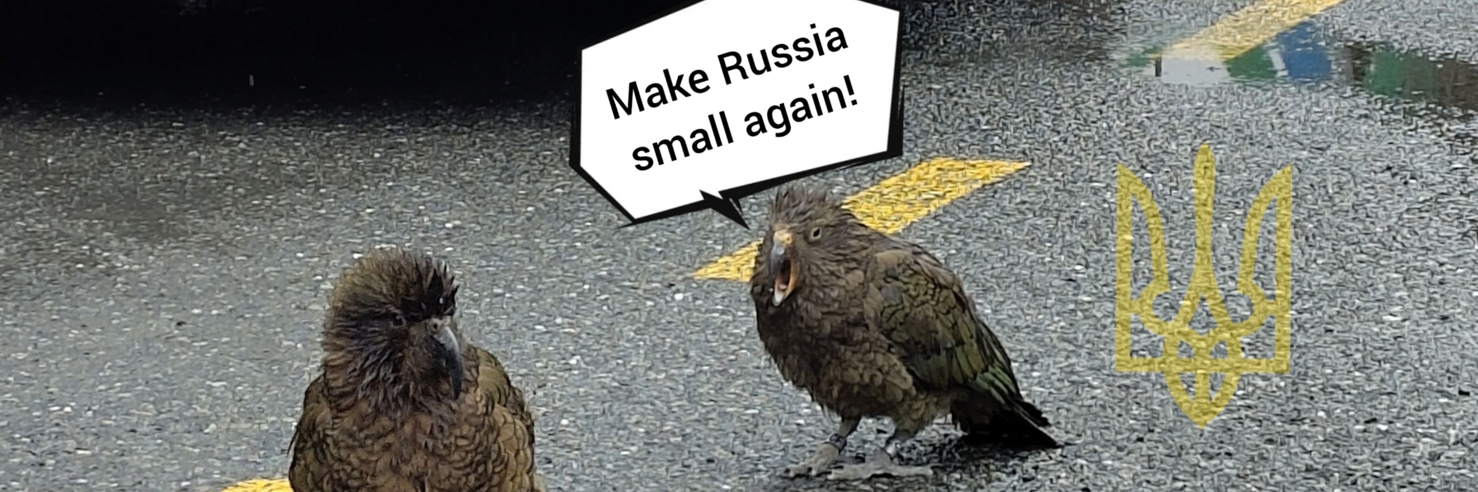 Birb of Prey 🎶🦜🇺🇦🇮🇱🇪🇺