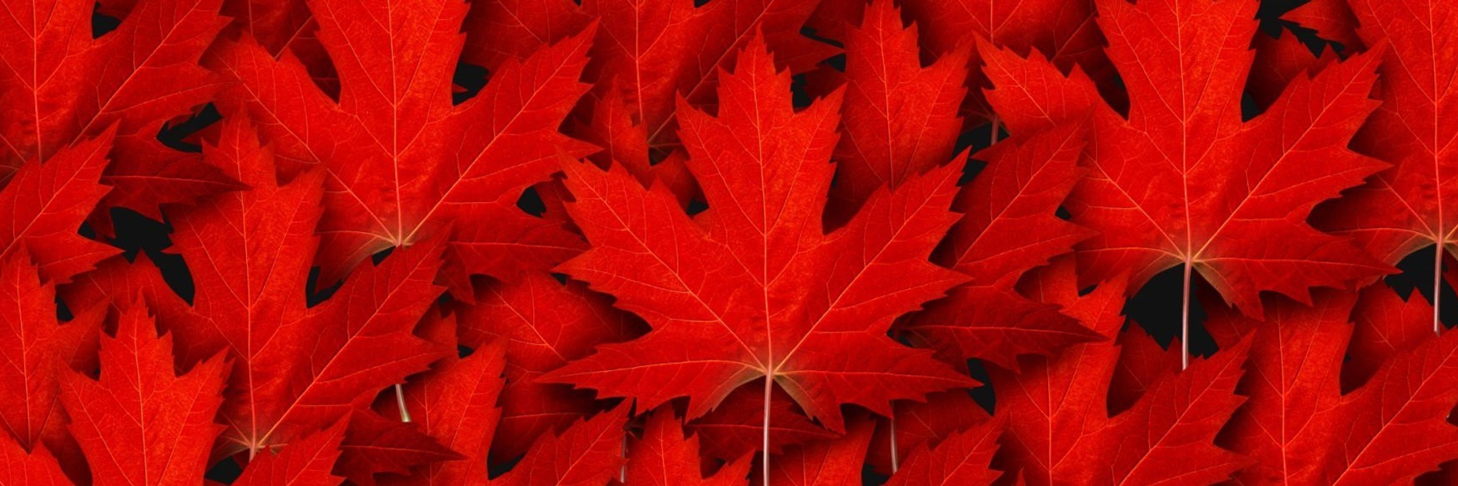 Ed S. 🇨🇦